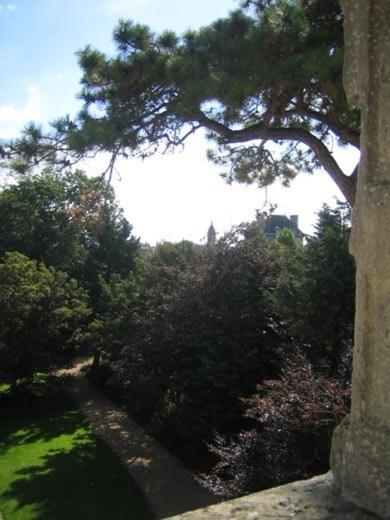 מלון קורסיי-סור-מר Chateau Francois D'O חדר תמונה